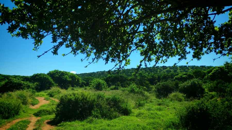 0 Bedroom Property for Sale in Somerset East Rural Eastern Cape